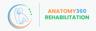 rehabanatomy