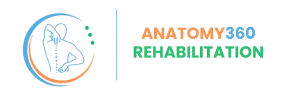 rehabanatomy